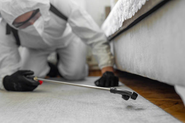 Professional Pest Control technician working in Broad Brook, CT