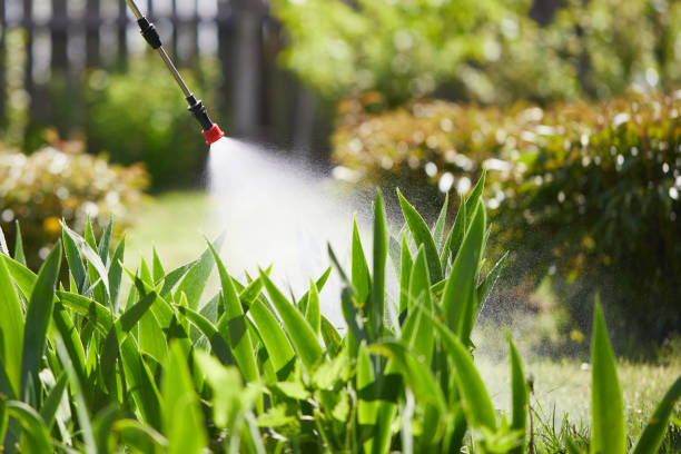 24/7 Emergency Pest Control experts in Broad Brook, CT