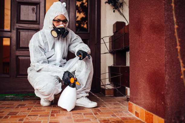 Reliable Pest Control contractor in Broad Brook, CT by Nex Pest Control