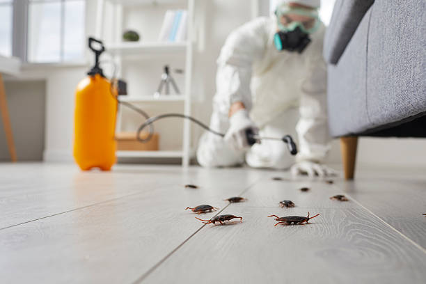 Affordable Pest Control solutions in Broad Brook, CT